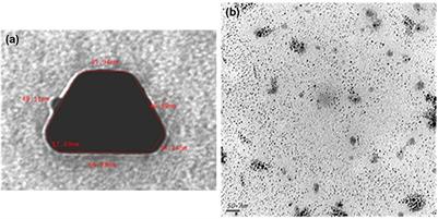 Antimicrobial and Antibiofilm Activities of New Synthesized Silver Ultra-NanoClusters (SUNCs) Against Helicobacter pylori